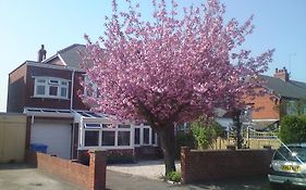 Cherry Blossom Guest House